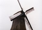 1994 Holland
